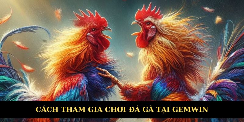 Hướng dẫn tham gia chơi tại sảnh cược