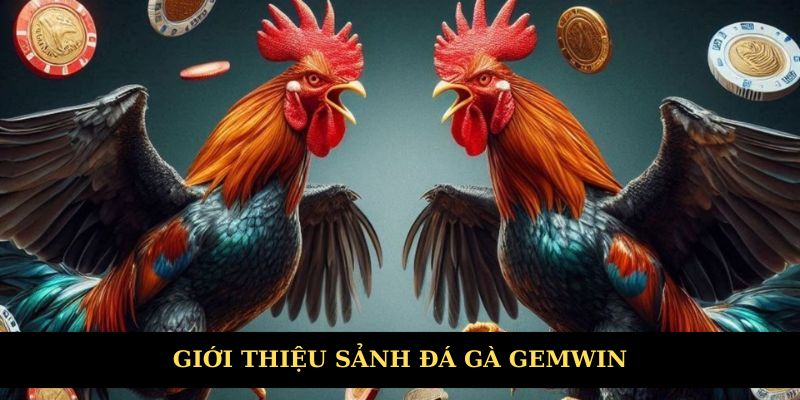 Giới thiệu chung về sảnh đá gà Gemwin
