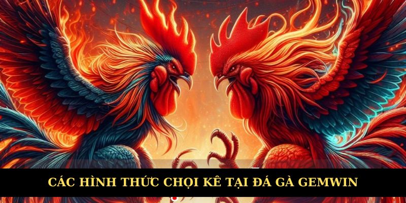 Các hình thức chọi kê hấp dẫn